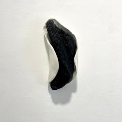 S / T